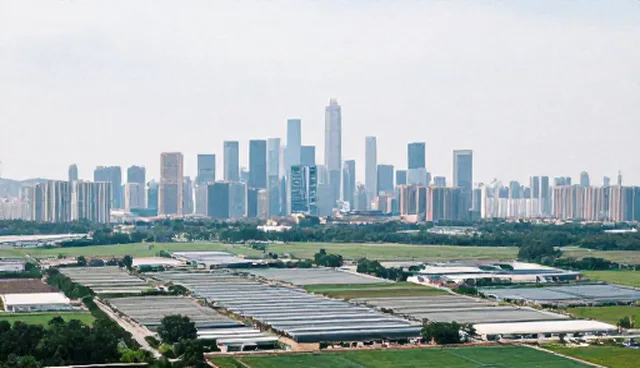 业务发展趋势：网站建设如何影响企业转型
