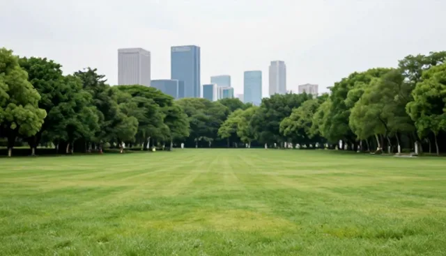 企业信息化方案使用场景中的项目管理问题分析